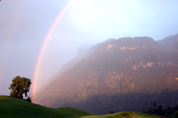 Regenbogen auf der Almwiese
